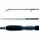 Spinings Daiwa Legalis Spin 3m 10-50g