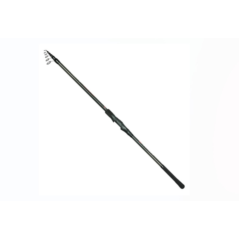 Robinson Flexcore tele roach 3.60m 10-30g